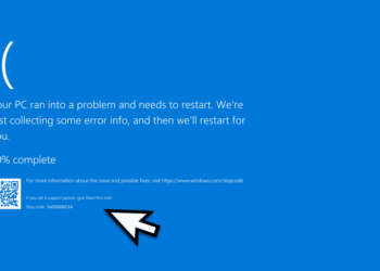 windows 10 0xc00021a