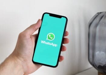 Chatbots no whatsapp