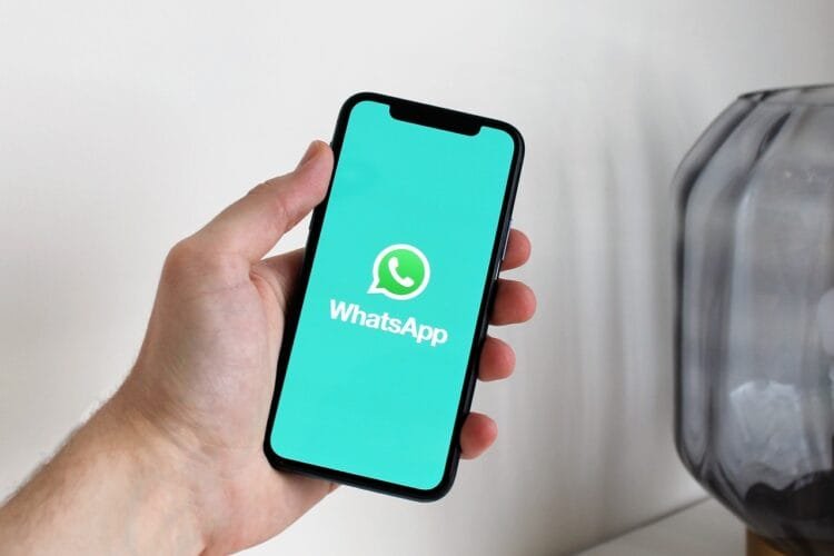 Chatbots no whatsapp