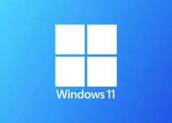 Windows 11