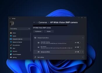 Windows 11 ajustar FPS