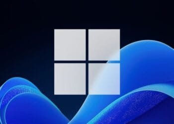 Windows 11 problemas 24H2